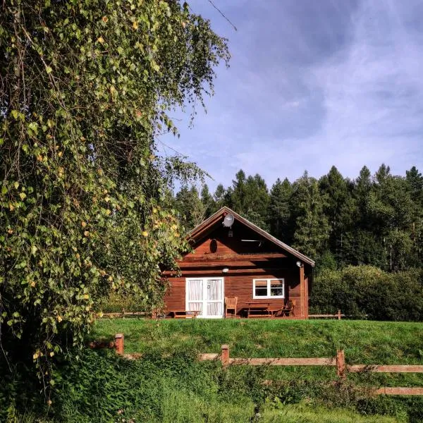 Domek na Wzgórzu, hotel v destinaci Wojcieszyce