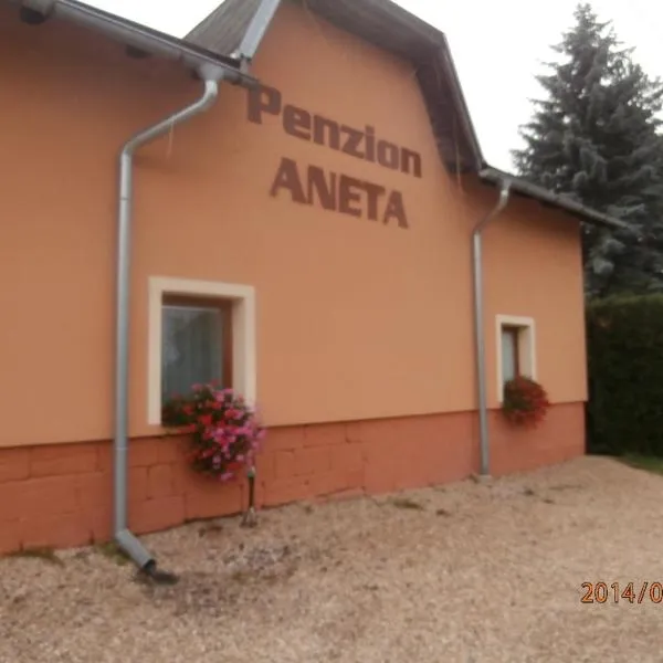 Penzion Aneta, hotel ve Svijanech