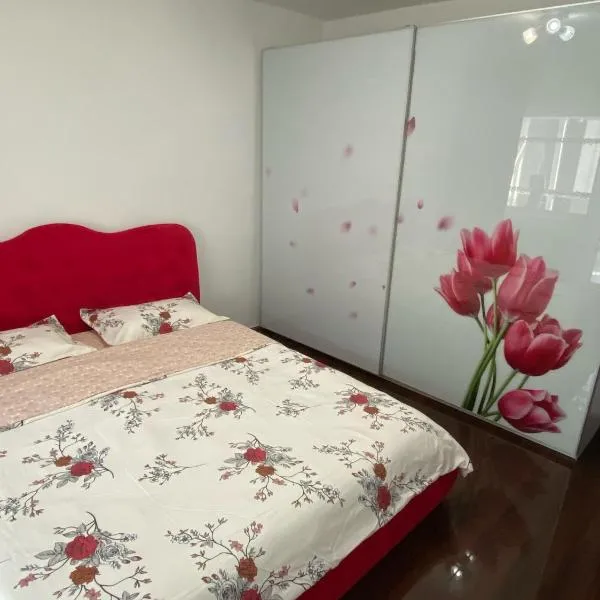 Apartament cozy, hotel en Drăgăşani