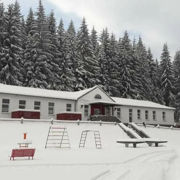 Erzgebirgsidyll Breitenbrunn Ferienwohnung, hotel in Breitenbrunn