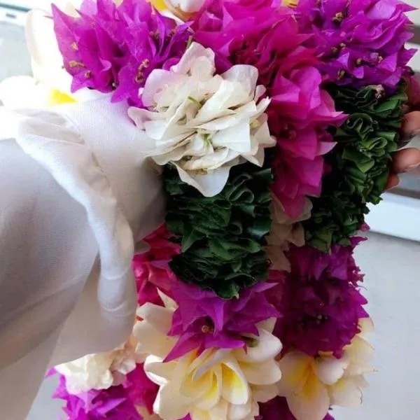 Nid douillet en petite terre au pied du lac Dziani, hotel di Dzaoudzi