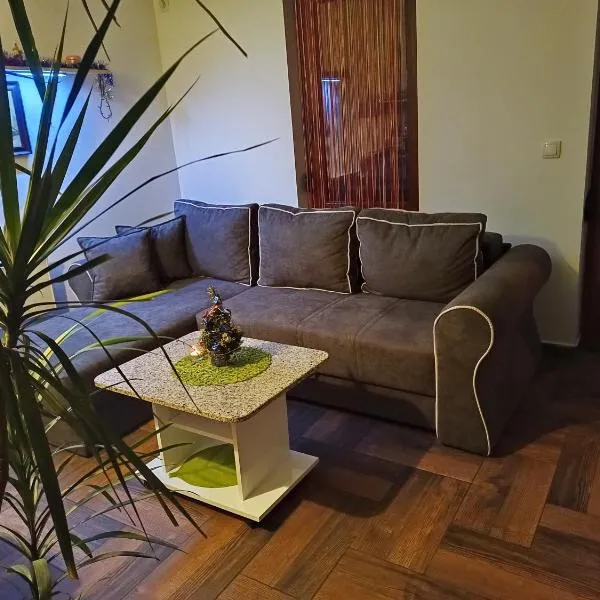 Smiley Apartman, hotel u Vrnjačkoj banji