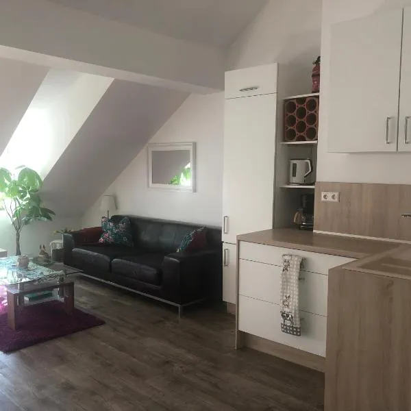 Old Bridge View Apartment、ハイデルベルクのホテル