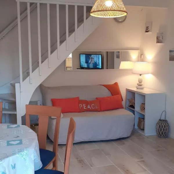 Location d'un pavillon de vacances, hôtel à Marseillan