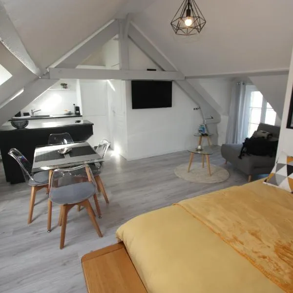 DU SEL A LA VIE, grand studio entre marais et océan, hôtel à Batz-sur-Mer