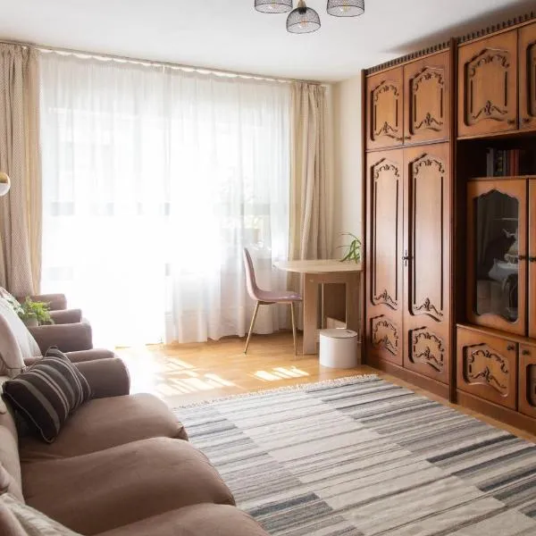 21 Cozy Apartament, hotel in Simioneşti