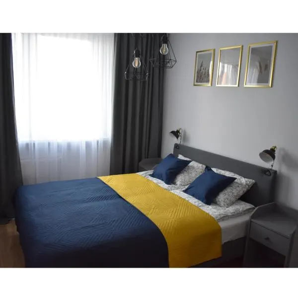 Apartament w centrum przy parku na Wyspie, hotel in Piła