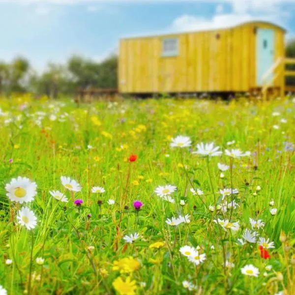 우드브리지에 위치한 호텔 Honeysuckle Farm Holidays by Stay In Suffolk