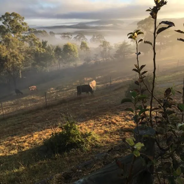 Springmead B&B, hotell i Wallerawang