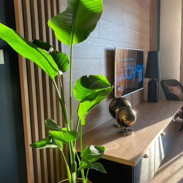 Apartamenty Termalne GREEN Apartment, khách sạn ở Uniejow