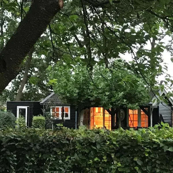 De Túnfûgel (tiny house), hôtel à Tjalleberd