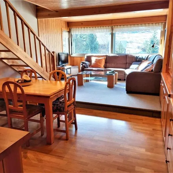 Apartamento ideal para familias en la Molina, hotel in La Molina