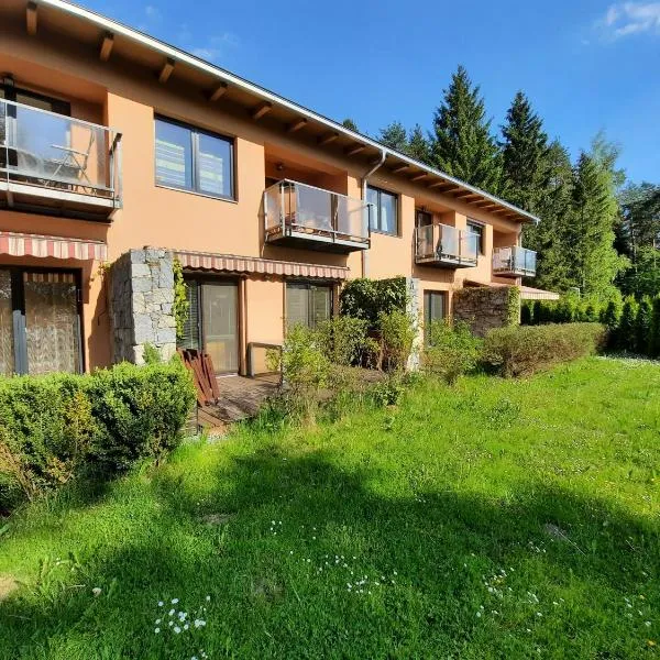 Lipno 35 - Lipno In, Hotel in Lipno nad Vltavou