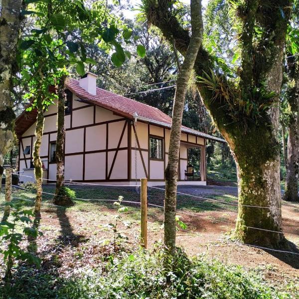 Casa Goethe - Bio Cult - Foto 5
