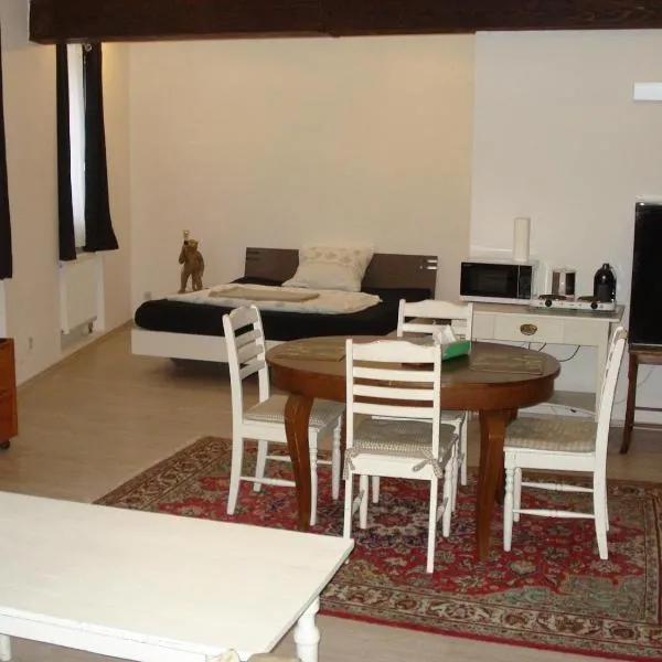 Appartement 45 qm mit Bad an der Mosel - Nähe Koblenz, hotel in Dieblich