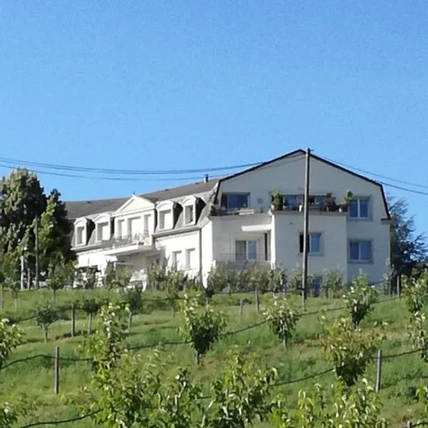 GÎTE de la FERME – hotel w mieście Pfastatt