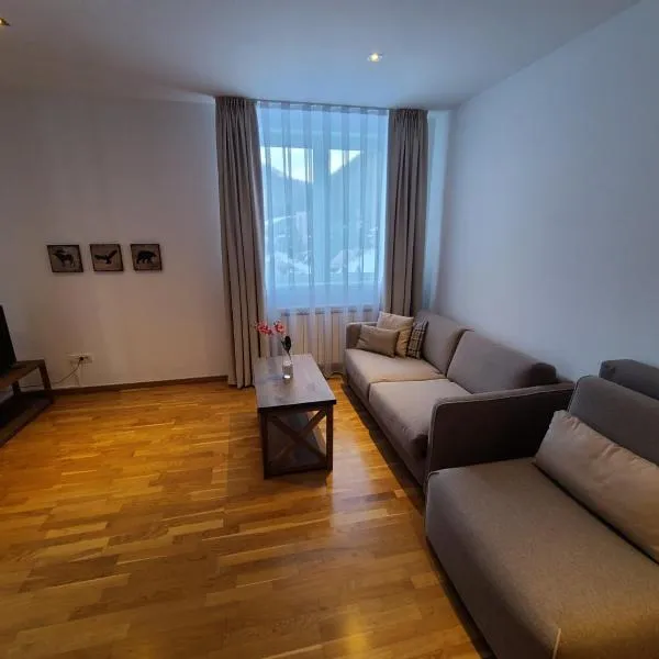 Bela Brada - Brzeće, Kopaonik，位于布尔泽策的酒店