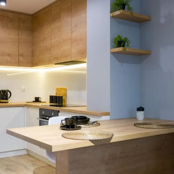 Apartament przy Fabrycznym, hotel a Łódź