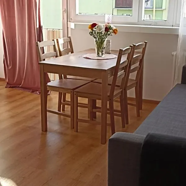 Apartamenty Gryfice Centrum - Nadrzeczna 2, hotel in Barkowo