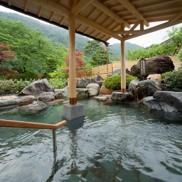 Shogawa Onsen Yumetsuzuri, hotel v destinaci Tonami