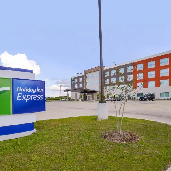 Holiday Inn Express Donaldsonville, an IHG Hotel, hotel di White Castle