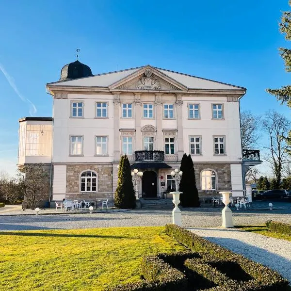 Pałac Brunów - Wellness & SPA，希隆斯克地區勒武韋克的飯店