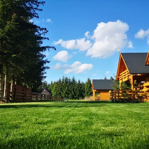 Domki Zielony Winiec - Mazury, hotel en Winiec