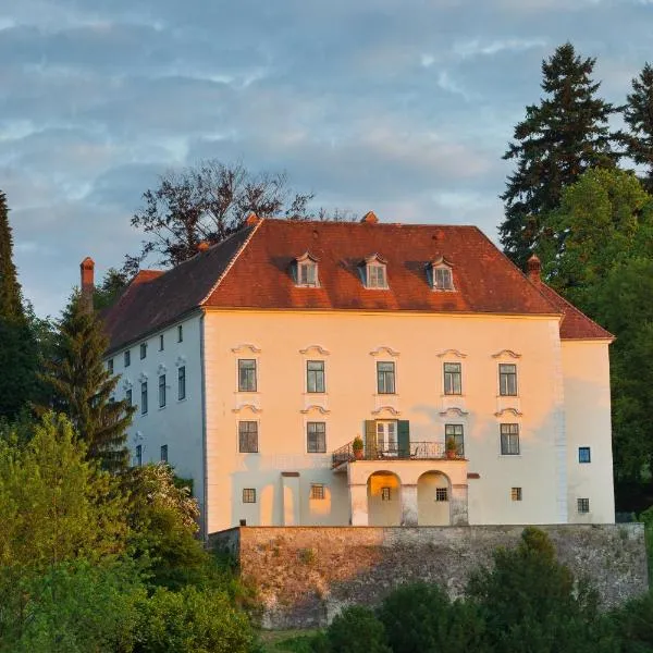 Schloss Ernegg, hotel in Steinakirchen am Forst