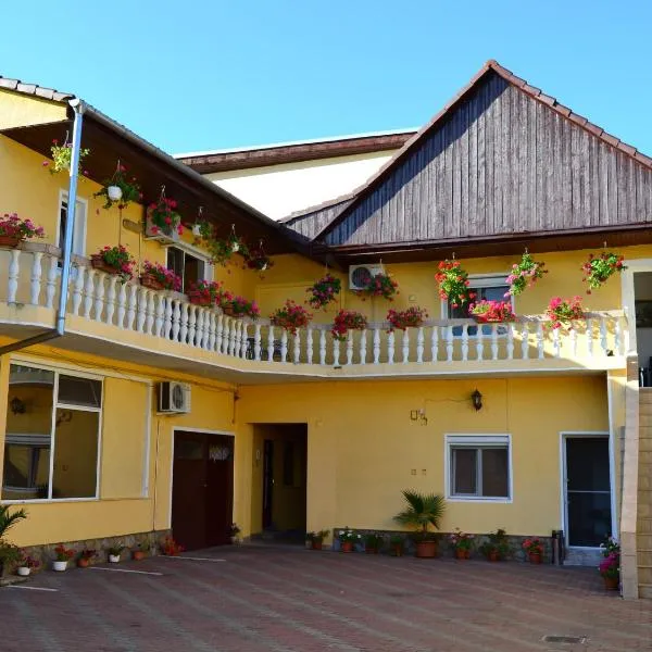 Pensiunea Alexander, hotel in Mîndruloc