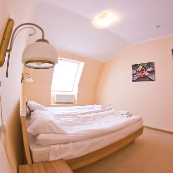 Budget Hotel Ekotel, hotel u gradu 'Ryasne-Rus'ke'