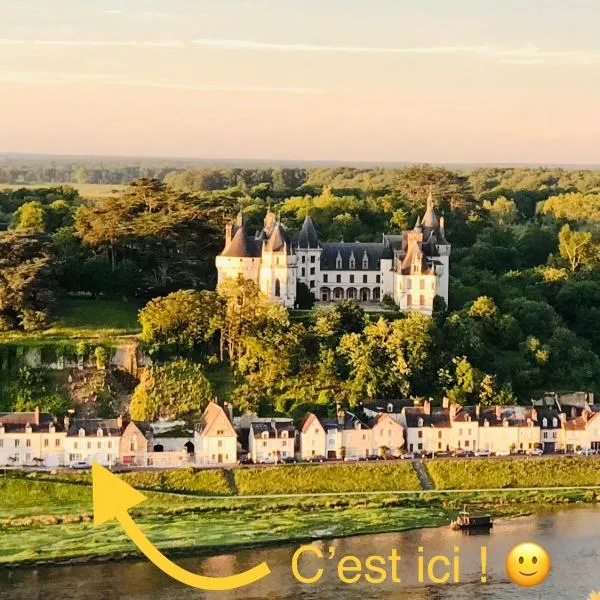 Escale face à la Loire，盧瓦爾河畔紹蒙的飯店