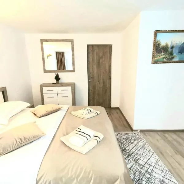Casa EMY Busteni, ξενοδοχείο σε Buşteni