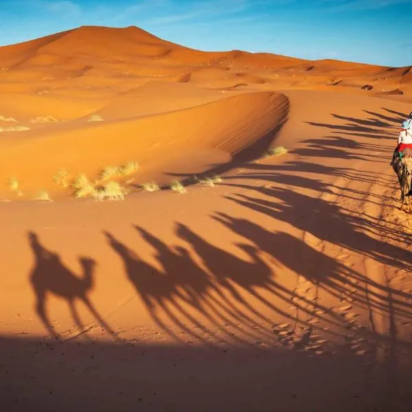 Camel Trekking Camp