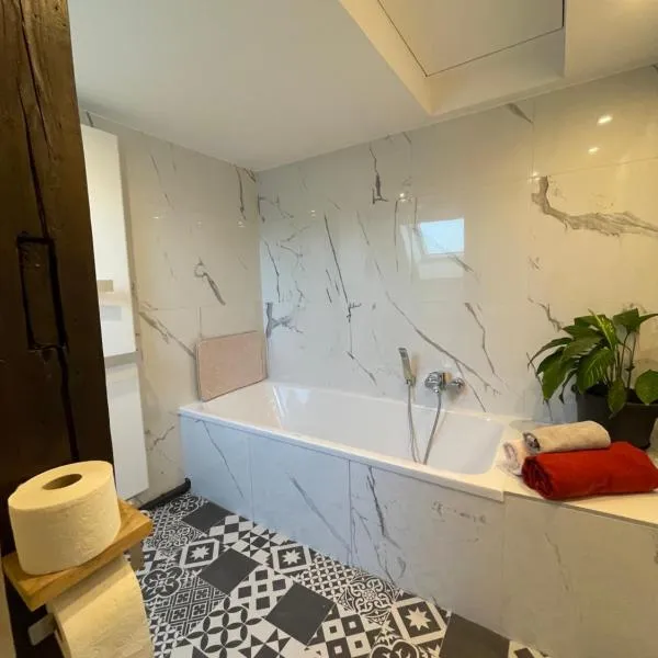 Le Cosy, hotel in Schiltigheim