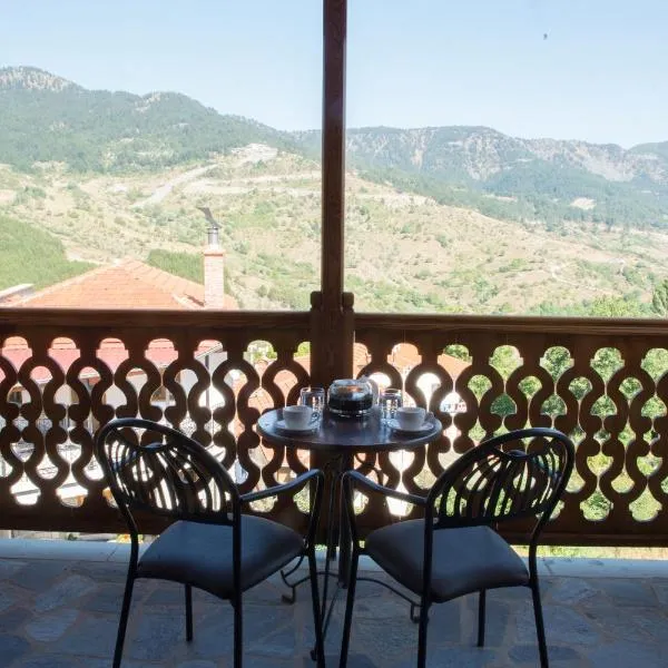 La Petri Studios with Fireplace & View, hotel in Metsovo