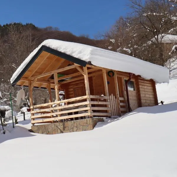 Vikendica Mijajlović 2, hotel i Kuršumlija