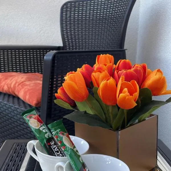 Apartman Venera, ξενοδοχείο σε Sombor
