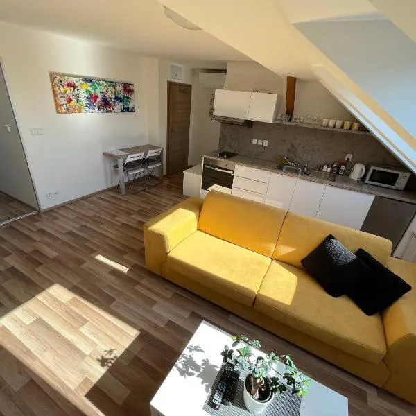 Apartmány Skryjova, hotel v destinaci Brno