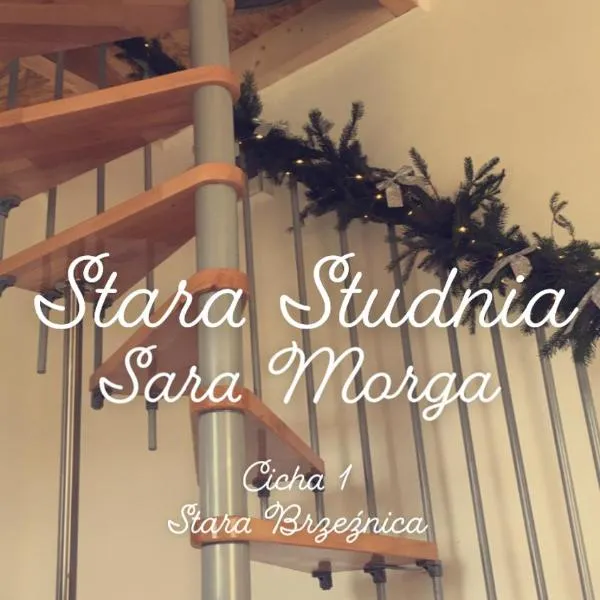 Stara Studnia, hotel v destinaci Brzeźnica Stara