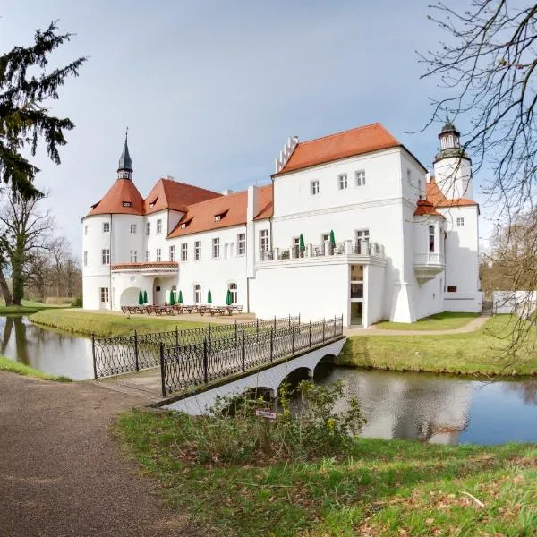 Schlosshotel Fürstlich Drehna, hotel in Zwietow