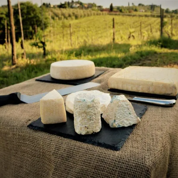 Agriturismo Fattoria le caprine, hotel v destinaci Gambassi Terme
