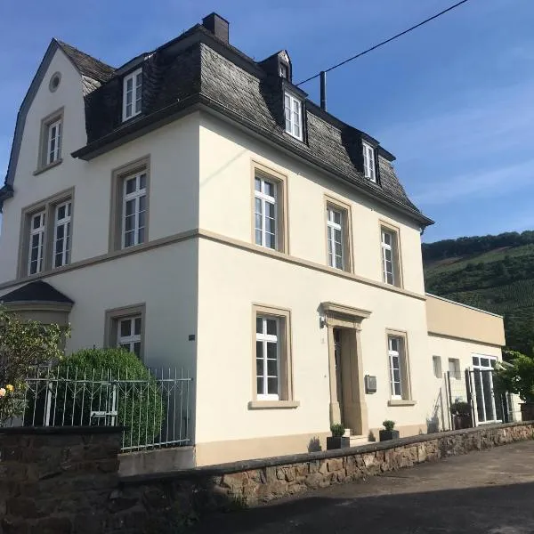Weinlofts an der Mosel mit E10 Ladestation、Köwerichのホテル