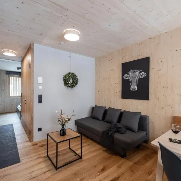 Boutique Apartments Mellau mit Garage Skiraum und Skibus inklusive, hôtel à Mellau