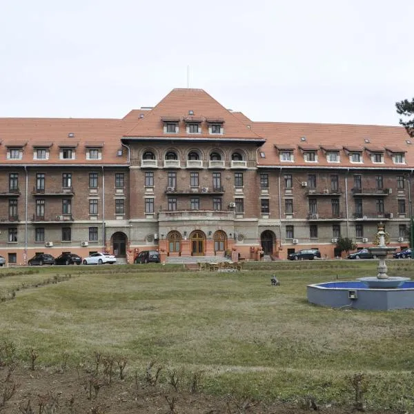 Hotel Triumf, hotel u gradu Otopenii de Jos