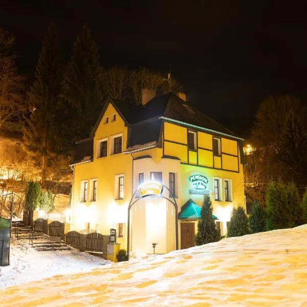 Pension Robin, Hotel in Jáchymov