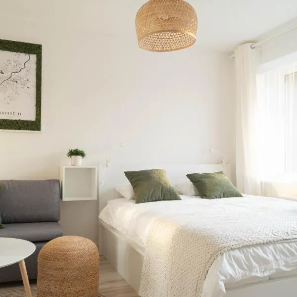 Čia gera studio, hotel in Anykščiai