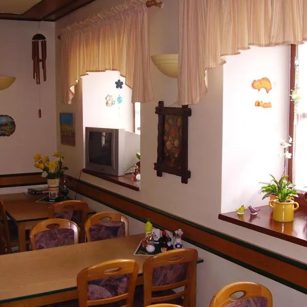 Penzion Bázum, hotel v destinaci Horní Vltavice