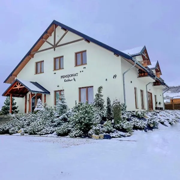 Pensjonat Koliber, hotel en Jakubów