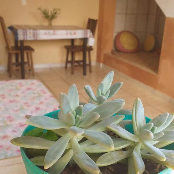 Casa Relva - Foto 4
