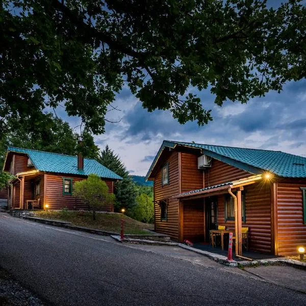 Chalet Likouresi Village, hotel v destinaci Karpenisi